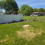 Stump Grinding