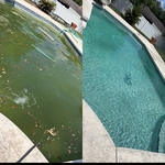 Green to clean