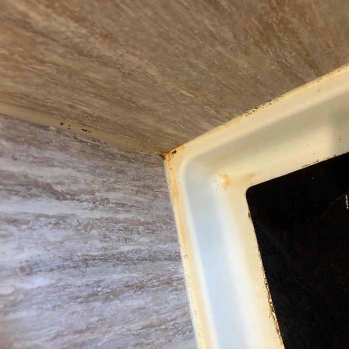 Shower deep clean
