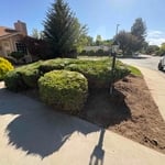 Brush Demo & Removal