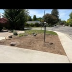 Brush Demo & Removal