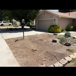 Brush Demo & Removal