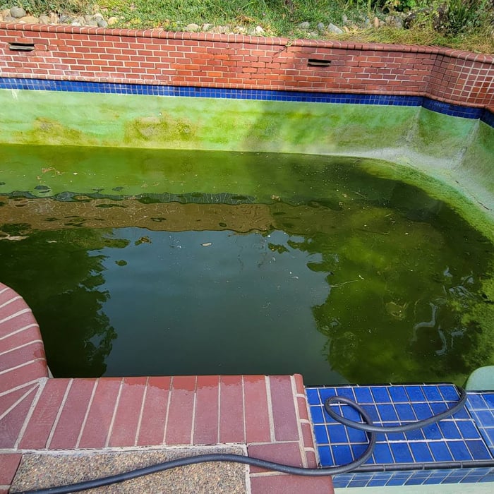 Before: algae bloom