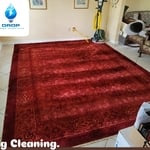 Rug Cleaning
