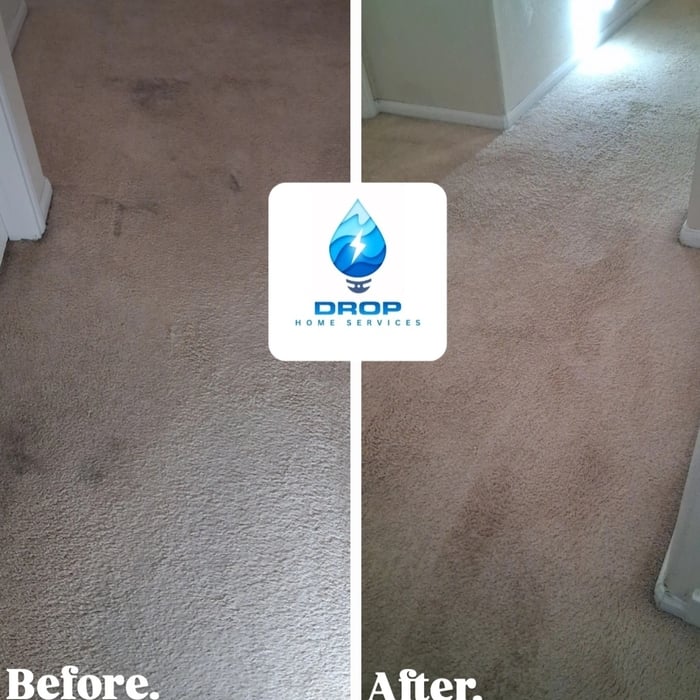 Upstairs carpet cleaning