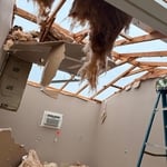 Demolition of a shed