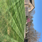 Lawn care