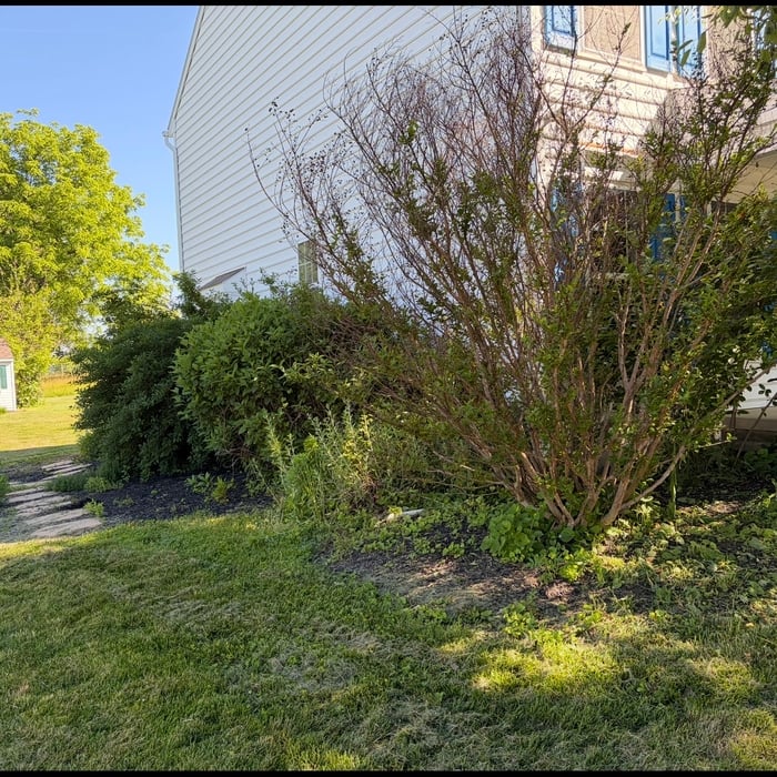 Landscaping