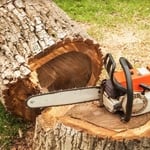 Tree Service