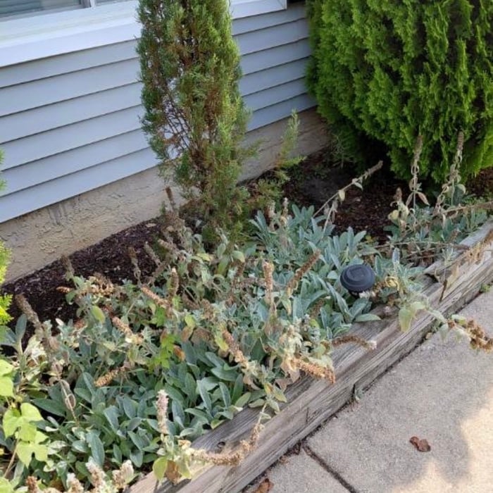 Property clean up