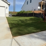 Lawn Maintenance