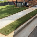 Lawn Maintenance