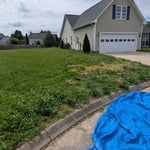 Home cleanout removal