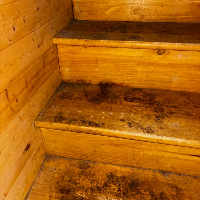 Before of steps