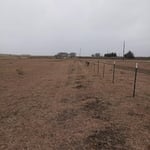 Fencing