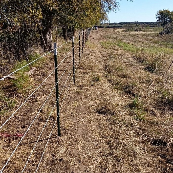 Fencing
