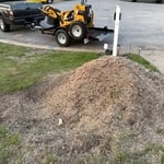 Sawdust