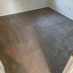 Hose the floor