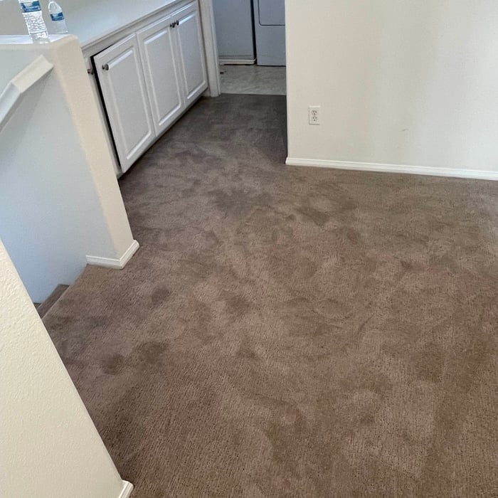 Hose the floor