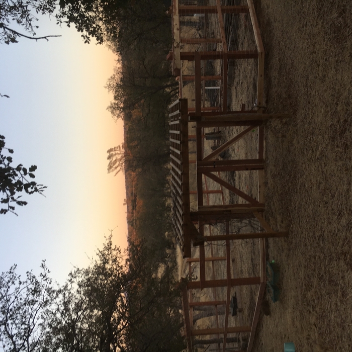 deer proof fencing