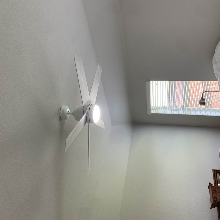 Fans and Chandelier