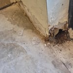 Drywall repair