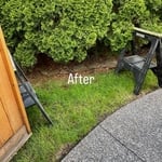 Junk Removal