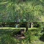 Lakeview property update