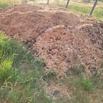 Horse waste removal