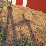 Horse waste removal
