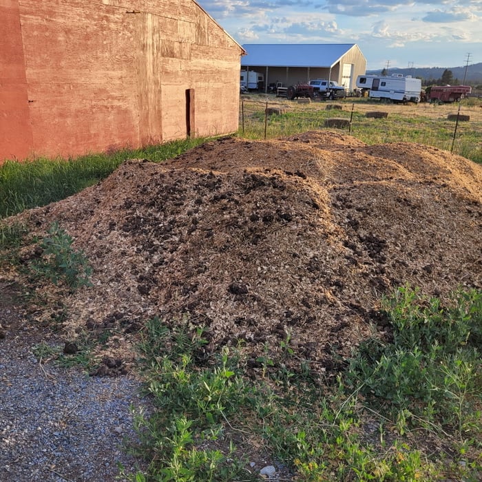 Horse waste removal