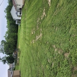 Lawn mowing