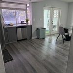 Cleaning Services