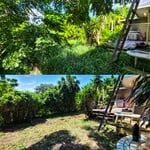 Property Clean Up