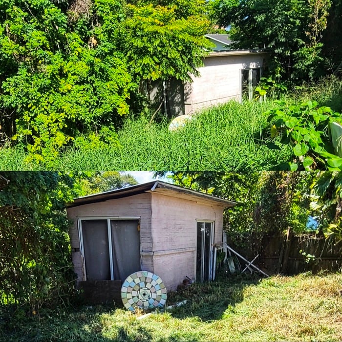 Property Clean Up