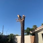 Project Photos