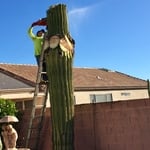 Project Photos