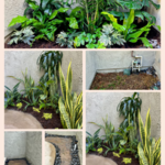 Project Photos