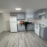 Luxury Vinyl Flooring