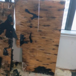 Project Photos