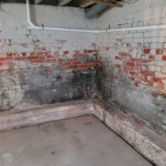 Project Photos