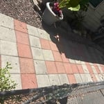 Full yard renovation