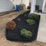 Flowerbeds