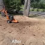Stump Grinding