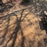 Photos of my work