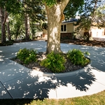 Driveway Replacement