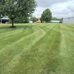 Mowing the lawn
