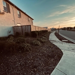 Sac