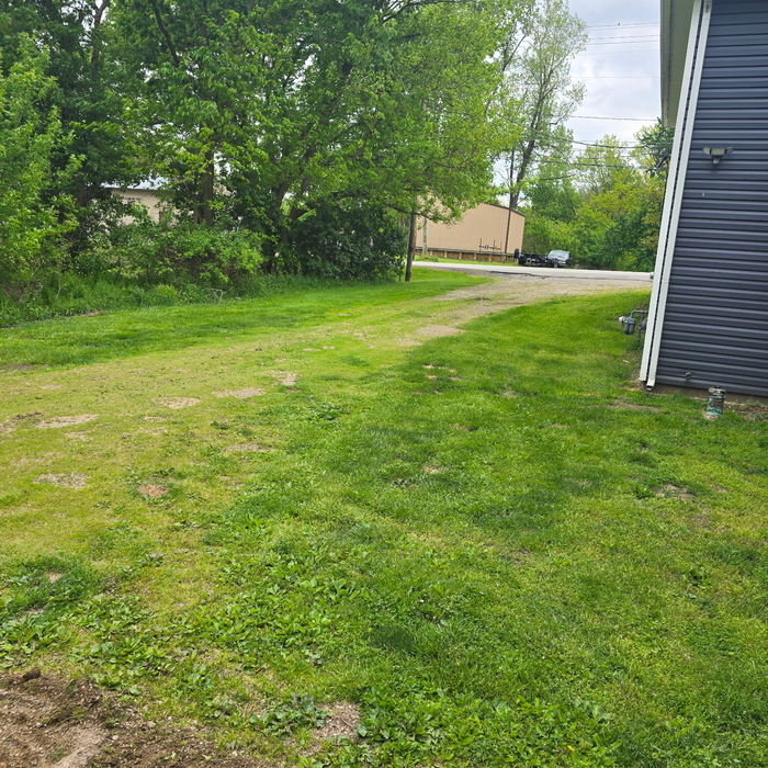 Driveway Restoration