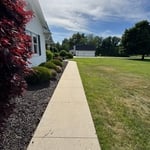 Concrete cleaning
